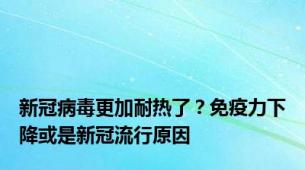 新冠病毒更加耐热了？免疫力下降或是新冠流行原因