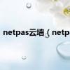 netpas云墙（netpas）