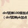 dnf武神100级加点2021（dnf武神pk加点）