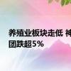 养殖业板块走低 神农集团跌超5%