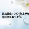 青龙管业：2024年上半年净利润同比增长421.33%