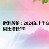 胜利股份：2024年上半年净利润同比增长1%