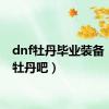 dnf牡丹毕业装备（dnf牡丹吧）