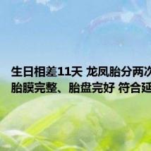 生日相差11天 龙凤胎分两次娩出：胎膜完整、胎盘完好 符合延迟分娩