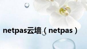 netpas云墙（netpas）