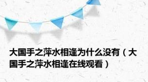 大国手之萍水相逢为什么没有（大国手之萍水相逢在线观看）