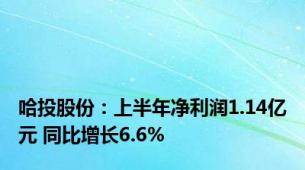 哈投股份：上半年净利润1.14亿元 同比增长6.6%