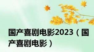 国产喜剧电影2023（国产喜剧电影）