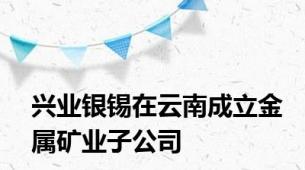 兴业银锡在云南成立金属矿业子公司