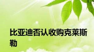 比亚迪否认收购克莱斯勒