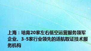 上海：培育20家左右低空运营服务领军企业、3-5家行业领先的适航取证技术服务机构