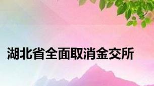 湖北省全面取消金交所