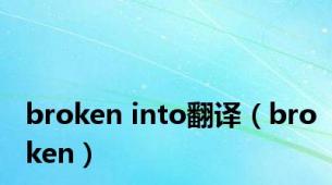 broken into翻译（broken）