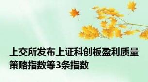 上交所发布上证科创板盈利质量策略指数等3条指数