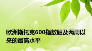 欧洲斯托克600指数触及两周以来的最高水平