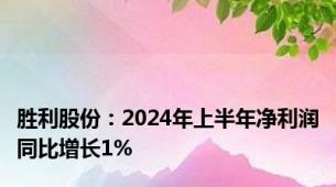 胜利股份：2024年上半年净利润同比增长1%