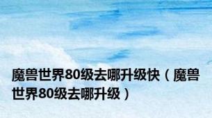 魔兽世界80级去哪升级快（魔兽世界80级去哪升级）