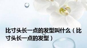 比寸头长一点的发型叫什么（比寸头长一点的发型）