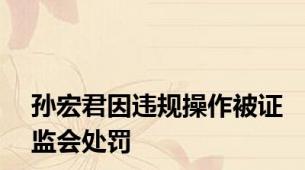 孙宏君因违规操作被证监会处罚