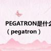 PEGATRON是什么牌子（pegatron）