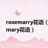 rosemarry花语（rosemary花语）