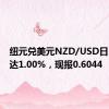 纽元兑美元NZD/USD日内涨幅达1.00%，现报0.6044