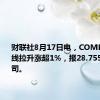 财联社8月17日电，COMEX期银短线拉升涨超1%，报28.755美元/盎司。