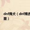 dnf鹰犬（dnf鹰吉在哪里）