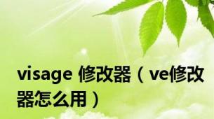 visage 修改器（ve修改器怎么用）