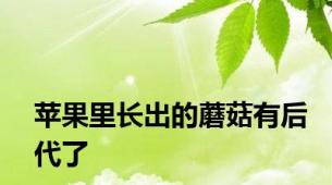 苹果里长出的蘑菇有后代了