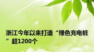 浙江今年以来打造“绿色充电桩”超1200个