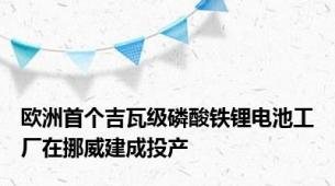 欧洲首个吉瓦级磷酸铁锂电池工厂在挪威建成投产