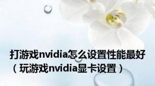 打游戏nvidia怎么设置性能最好（玩游戏nvidia显卡设置）