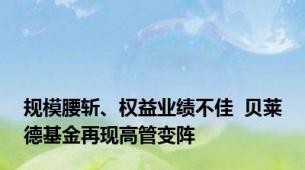 规模腰斩、权益业绩不佳  贝莱德基金再现高管变阵