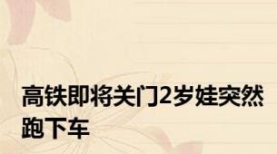 高铁即将关门2岁娃突然跑下车