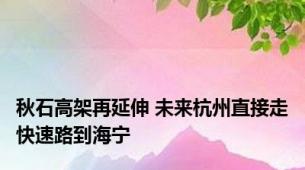 秋石高架再延伸 未来杭州直接走快速路到海宁