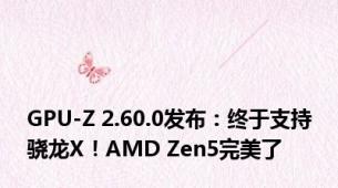 GPU-Z 2.60.0发布：终于支持骁龙X！AMD Zen5完美了