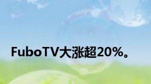 FuboTV大涨超20%。