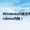 Windows内核文件（windows内核）