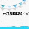 w71喷枪口径（w7）