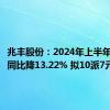 兆丰股份：2024年上半年净利润同比降13.22% 拟10派7元