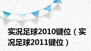 实况足球2010键位（实况足球2011键位）