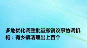 多地优化调整批量撤销议事协调机构：有乡镇清理出上百个