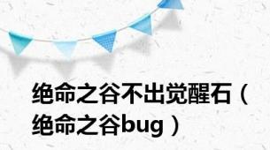 绝命之谷不出觉醒石（绝命之谷bug）