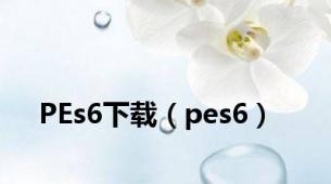 PEs6下载（pes6）