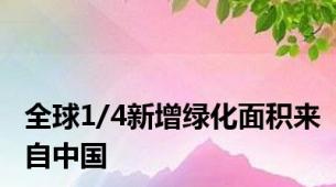 全球1/4新增绿化面积来自中国