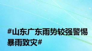 #山东广东雨势较强警惕暴雨致灾#