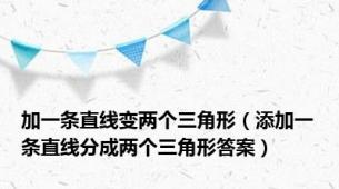 加一条直线变两个三角形（添加一条直线分成两个三角形答案）