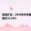 宝地矿业：2024年半年度净利润增长53.24%