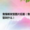 鲁豫新发型图片后面（鲁豫新发型叫什么）